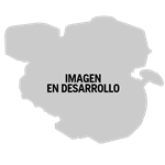 Motor Horizontal para motocultivador Husqvarna TF545D